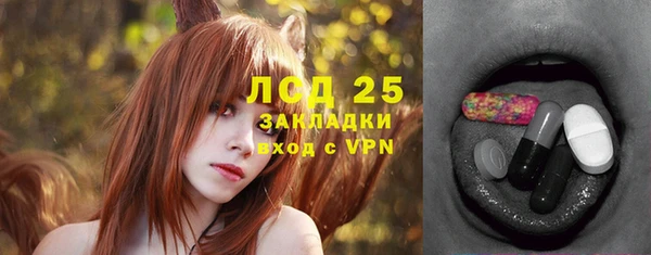 индика Гусиноозёрск