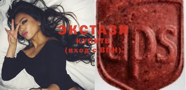 индика Гусиноозёрск
