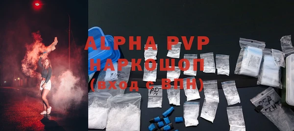 индика Гусиноозёрск