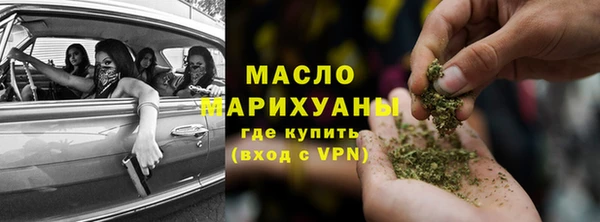 сатива Гусев