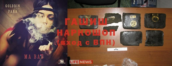 сатива Гусев