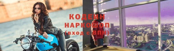 индика Гусиноозёрск