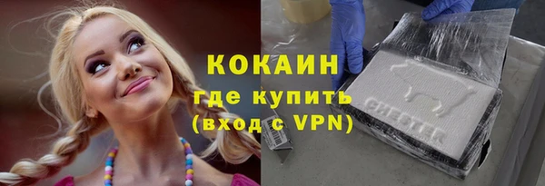 индика Гусиноозёрск
