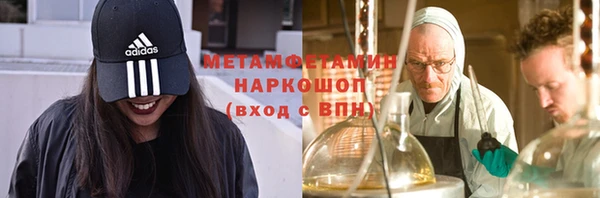 индика Гусиноозёрск
