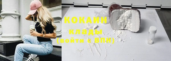 индика Гусиноозёрск