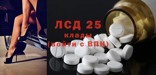 сатива Гусев