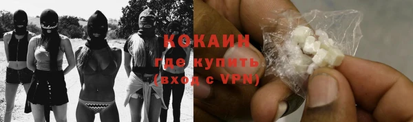 сатива Гусев