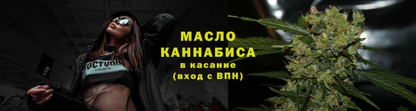 сатива Гусев