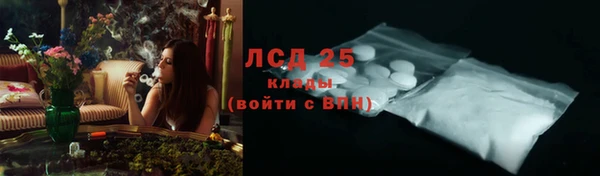 индика Гусиноозёрск