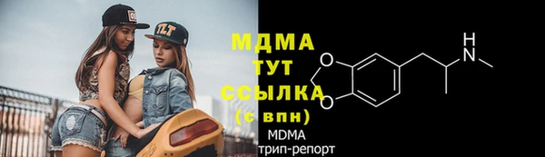 индика Гусиноозёрск