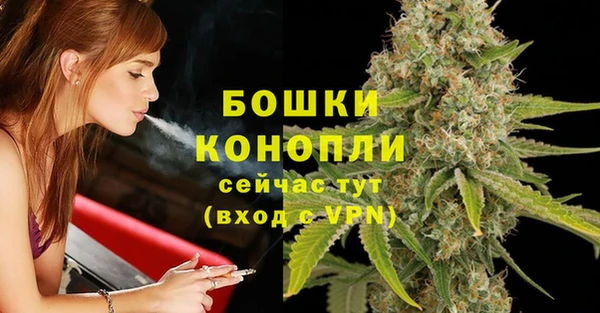 индика Гусиноозёрск
