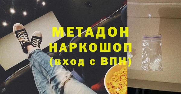 индика Гусиноозёрск