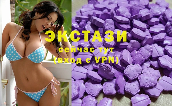индика Гусиноозёрск