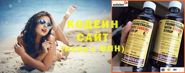 индика Гусиноозёрск